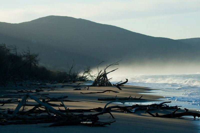 Foto by Lorena Fattori